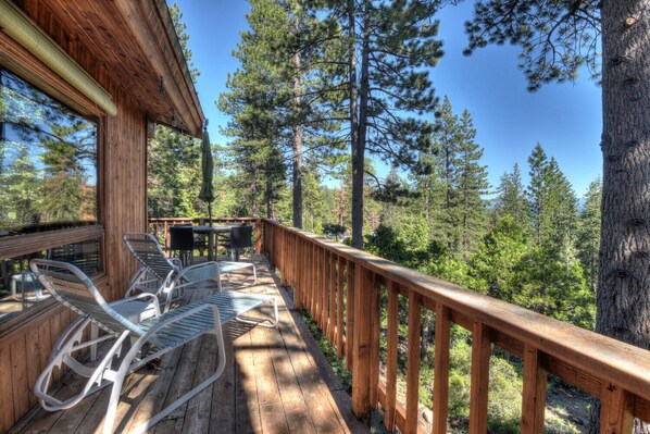 Forest views from the patio