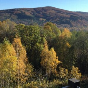 Vue depuis l’hébergement