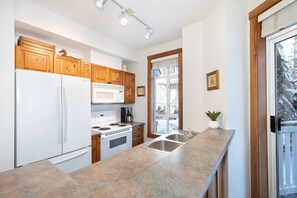 Equipped kitchen with oversized fridge