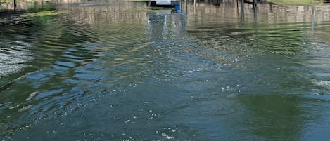 View from on the canal
