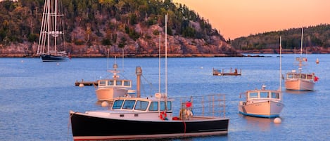 Bar Harbor