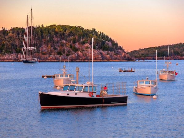 Bar Harbor