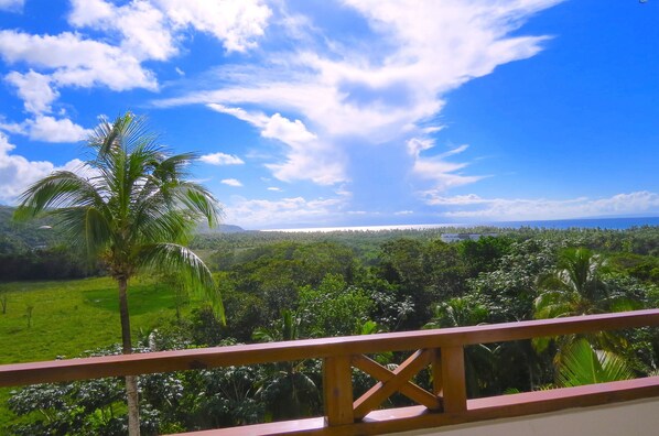 Ocean View from the 1st level Terrace