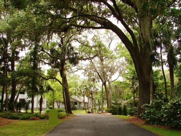 Entering Brigantine Quarters thru the canopy.