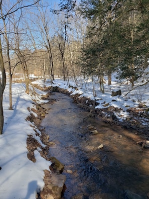 our stream in winter