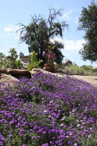 Temecula Wine Country for Nature Lovers, Wine drinkers and Relaxation