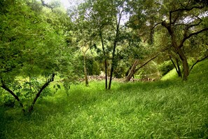 Beautiful Views on property