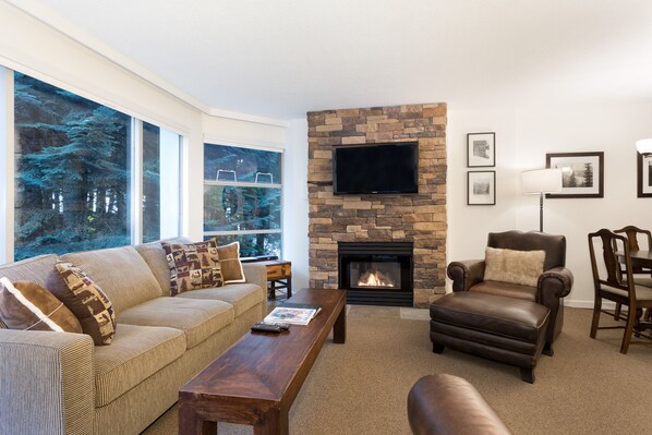 Living area features comfy couches, a fireplace, and TV