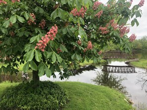 施設の敷地