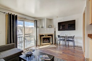 Living Area and Fireplace