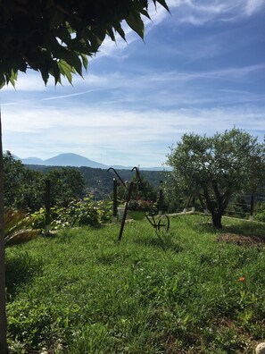 Terrain de l’hébergement 