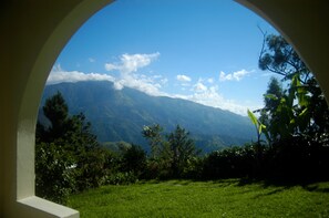 View of Blue Mountain peak from cottage 'Wood'.