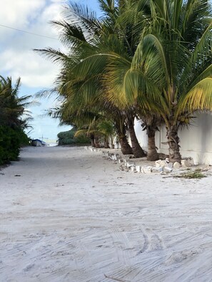 Strand