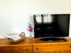 Television