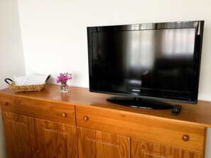 Television