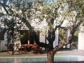 Hydeaway pool though the olive trees.