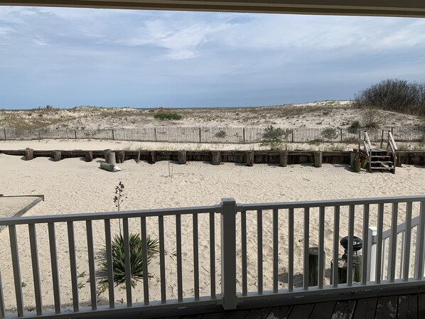 Front lawn. Ocean. 