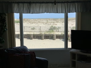 Living Room Window