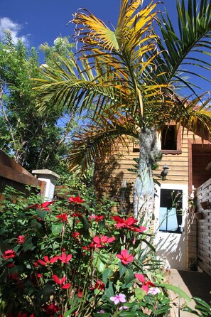 L'entrée du chalet et son petit jardin créole