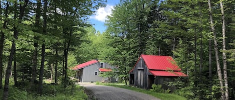 Long driveway with plenty of parking, including ATV/snowmobile trailer parking