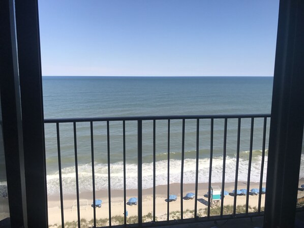 This could be your view!