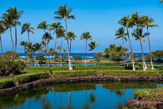 Mauna Lani Terrace D201