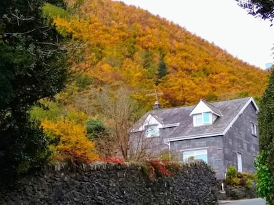 Old Rectory Cottage, near Betws y Coed in Snowdonia National Park. Dog friendly 