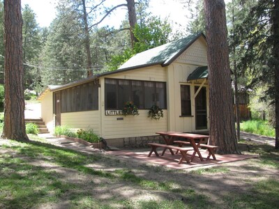 Little Pine Cabin/ 1 bed, 1 Bath