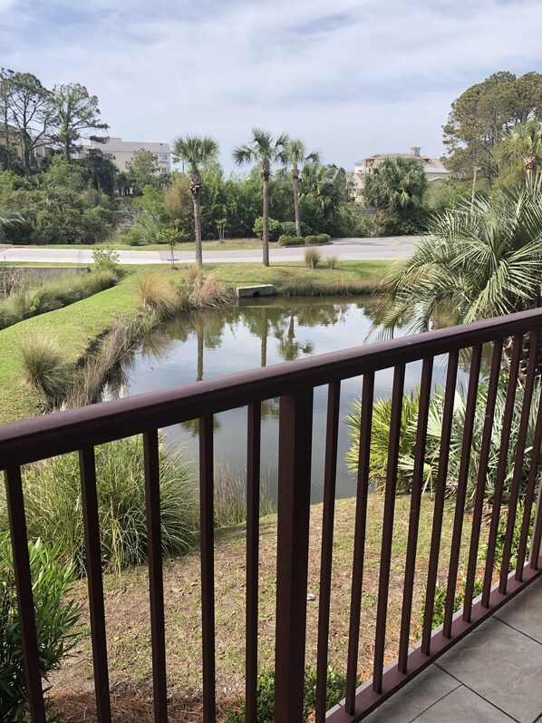 View from balcony.