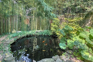 Koi Pond / Garden