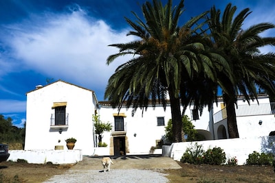 Beautiful house-winery next to Trujillo. Rental offers for weeks. Contact