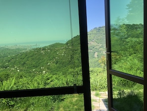 view