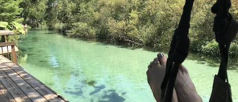 Kick your feet up in our swinging chairs and relax on the Weeki Wachee River!