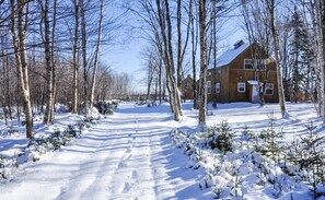 Chalet drive in winter - yes, we are open 4 seasons!