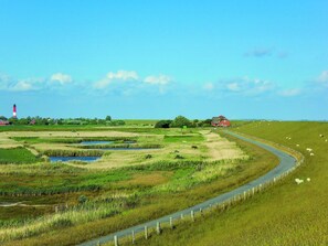 Malerische Landschaft
