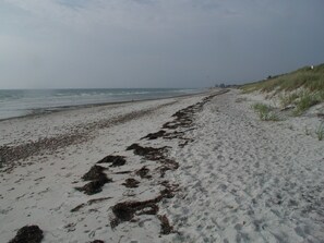 Black Beach...white sand just over the dune
