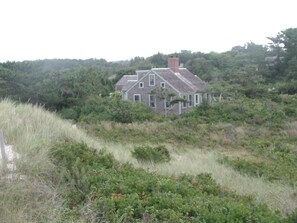 nestled in the dunes