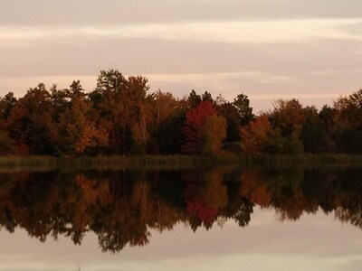 Cozy 2 rm pet friendly cabin- private lake - fishing & swimming - CowboyCabin