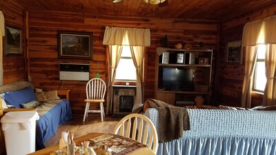 Cozy 2 rm pet friendly cabin- private lake - fishing & swimming - CowboyCabin