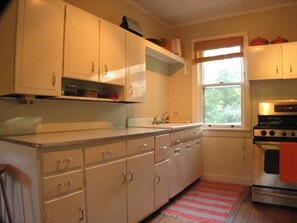 Kitchen with vintage cabinets, boomerang countertops and stainless appliances