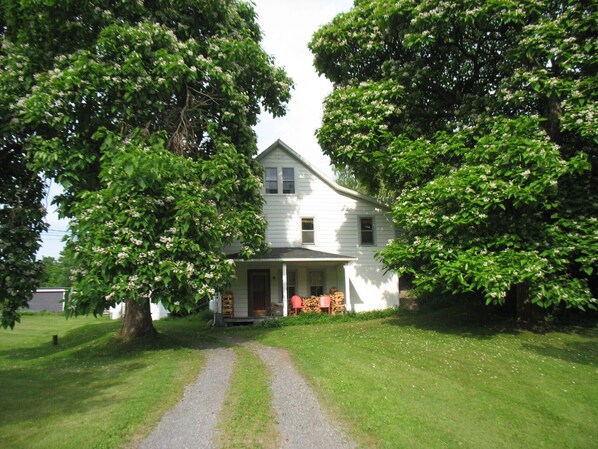 Bird Haven with old Catalpa trees