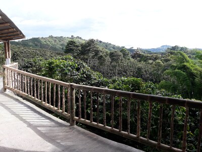 Eco Hotel Hacienda Cafetera La Gaviota