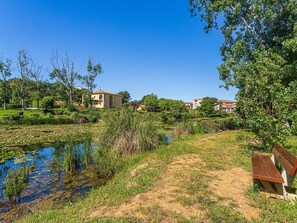 Vand, Krop Af Vand, Grøn, Træ, Naturlige Landskab, Bank, Busk, Vandløb, Landskab
