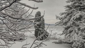 This could be your backyard view