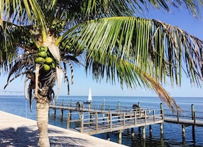 Private pier by the pool