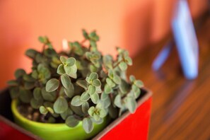 Detalle del interior