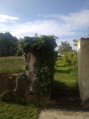 Property grounds