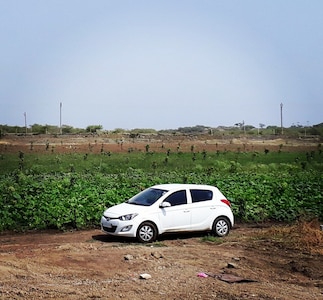 The gir farm... a home away from home...