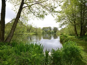 Stunning views over the Langford trout lake