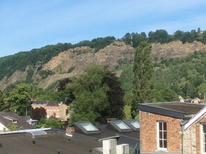 Vue de la chambre brune...au loin,la réserve naturelle de la Heid des Gattes